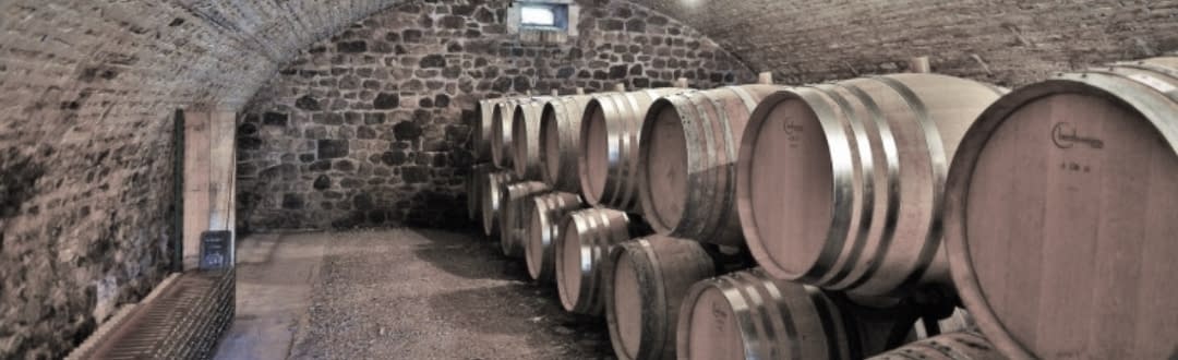 winery-42