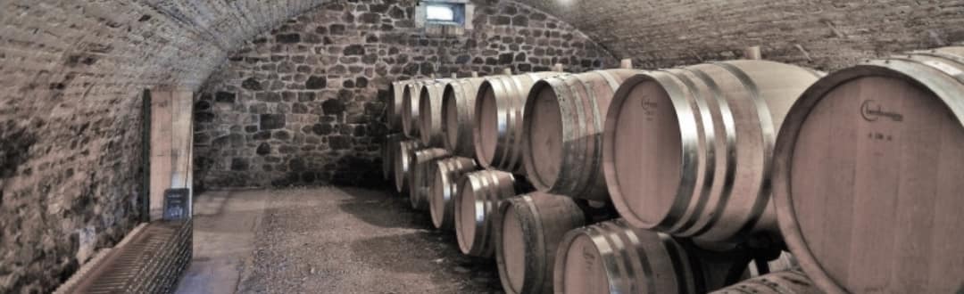winery-42