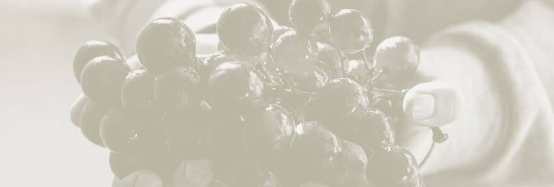 winery-66